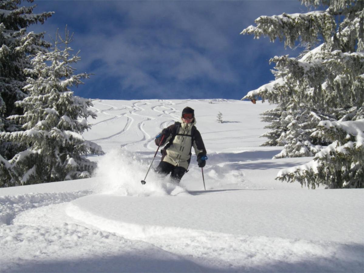 Chalet Aventure B&B Les Gets Eksteriør billede