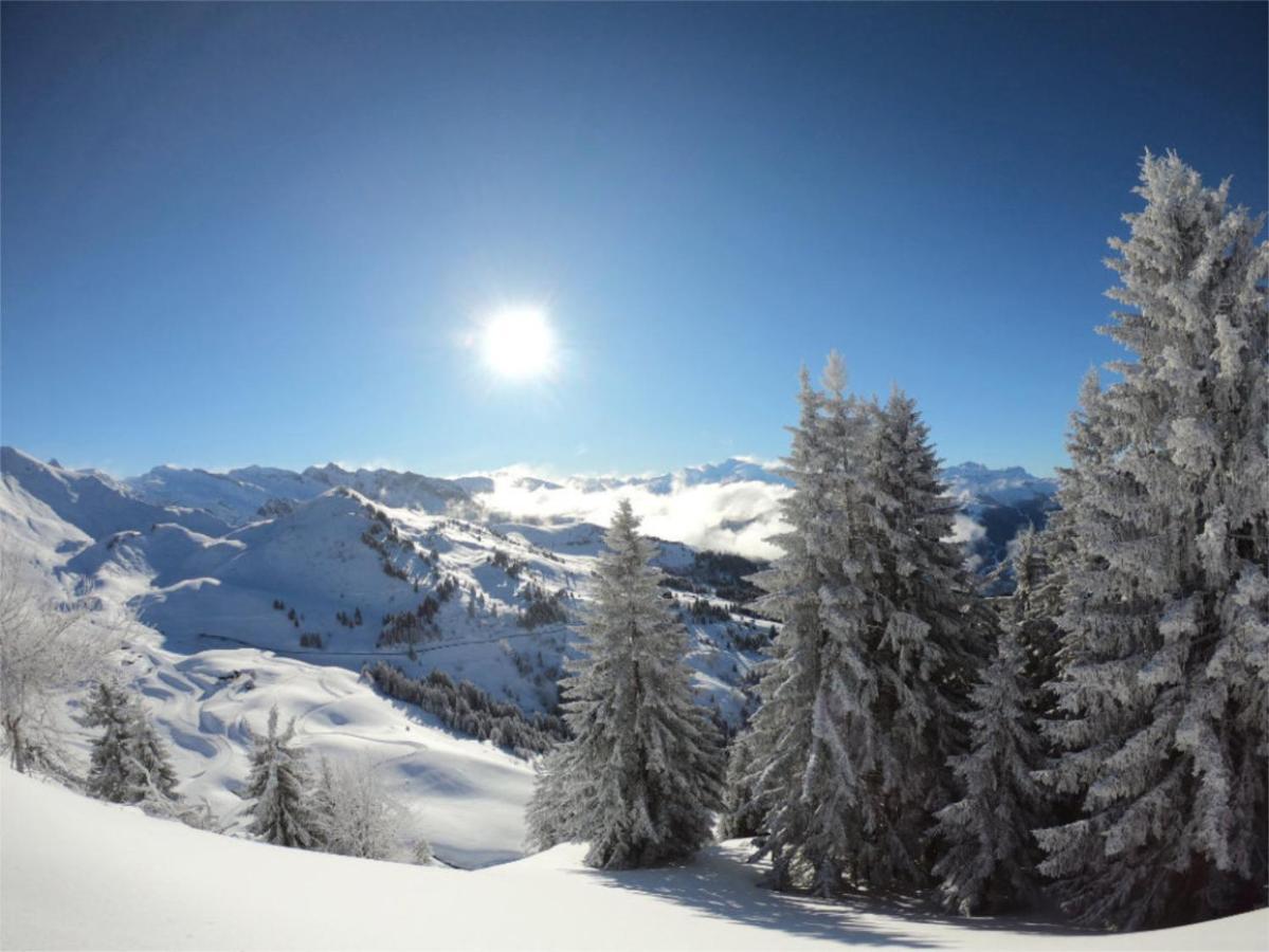 Chalet Aventure B&B Les Gets Eksteriør billede