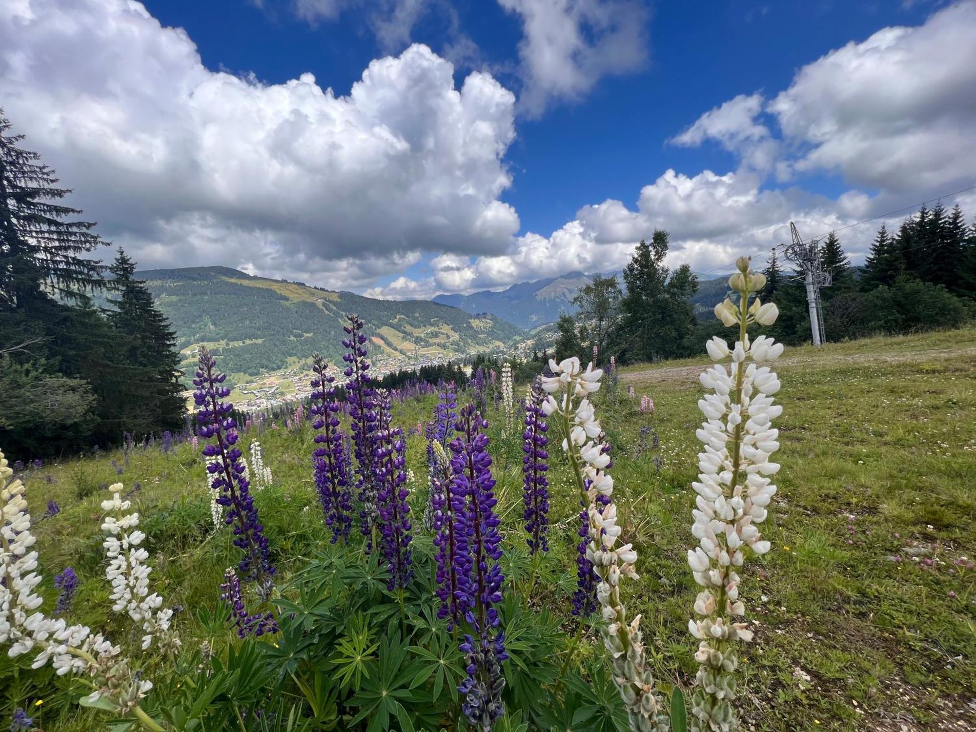Chalet Aventure B&B Les Gets Eksteriør billede
